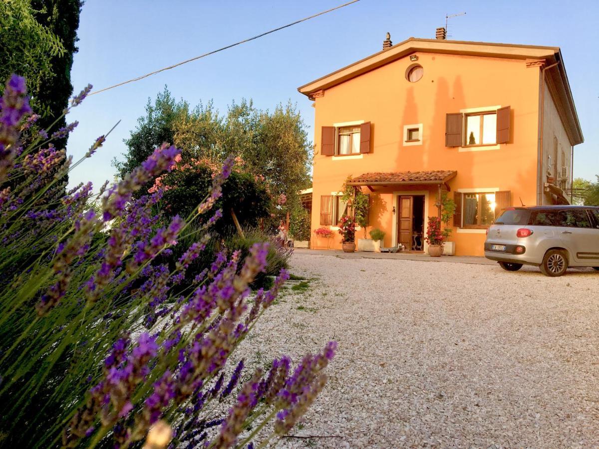 Locanda Della Lavanda Сан Клементе Екстериор снимка